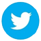 The Twitter icon