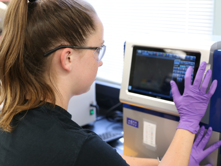 Hands-on experience in the lab is an important part of the biochemistry program.