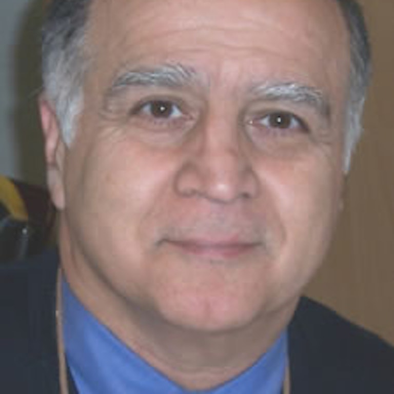 Bahman Litkouhi