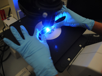 Manhattan University student working on a microscope