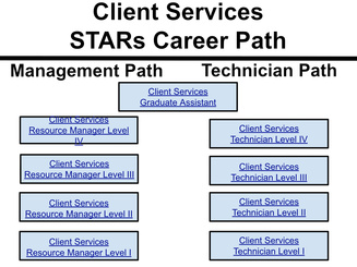 Chart of the hierarchy of Client Services careers