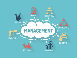graphic diagram of how management integrates with other skills