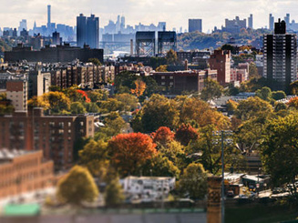 New York City skyline during the day
