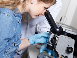 Scientists research in a lab environment