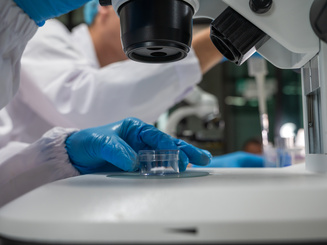 Scientist working with tissue on microscope in laboratory