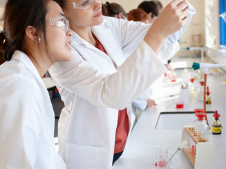 Students working in chemistry lab