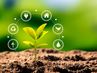 Growing plant, earth day, in an environmental concept rendering