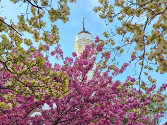Spring photo of campus with Memorial Hall in the background