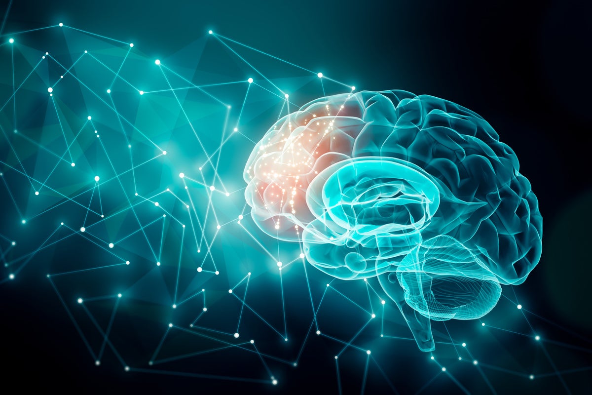 3D rendering of a human brain activity with plexus lines.. 