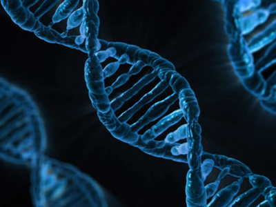 illustration of strands of DNA in a double helix