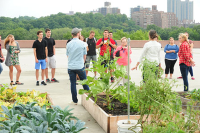 people gather near the rooftop garden