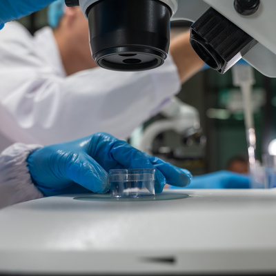 Scientist working with tissue on microscope in laboratory