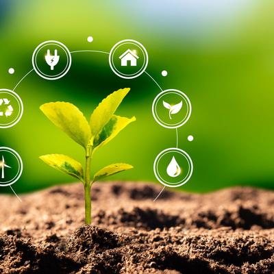 Growing plant, earth day, in an environmental concept rendering
